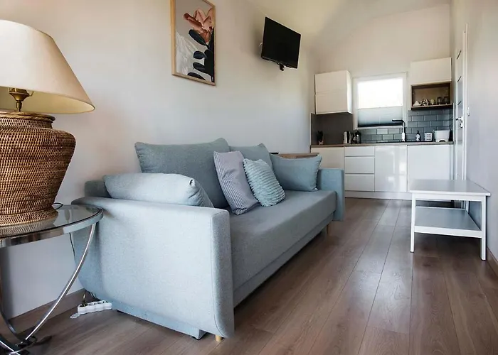 Domek letniskowy U Goni *